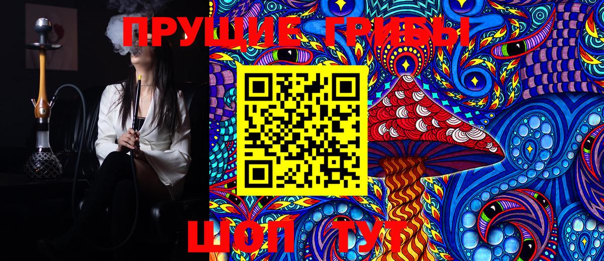 Подольск  Псилоцибиновые грибы Cubensis  Вход с VPN 
