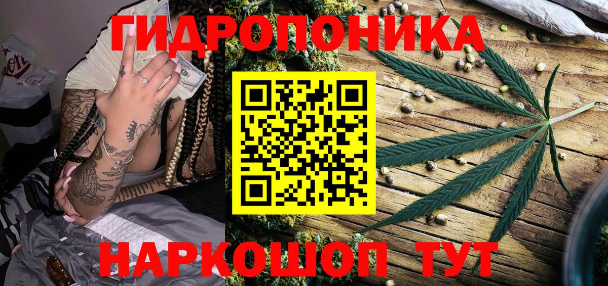 Бошки Шишки план Подольск